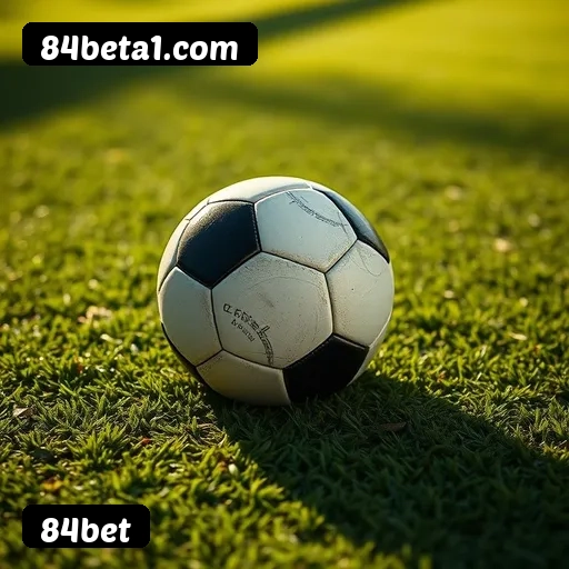 Suporte 24 horas 84bet